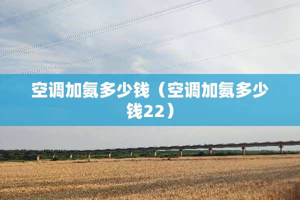空调加氨多少钱（空调加氨多少钱22）