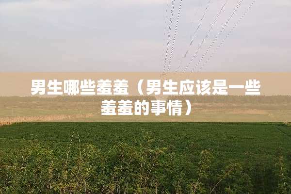 男生哪些羞羞（男生应该是一些羞羞的事情）
