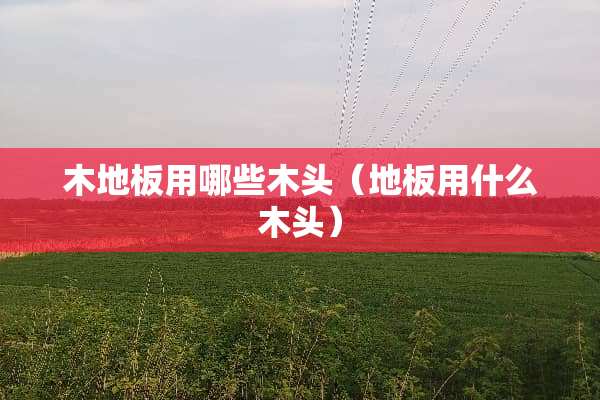 木地板用哪些木头（地板用什么木头）