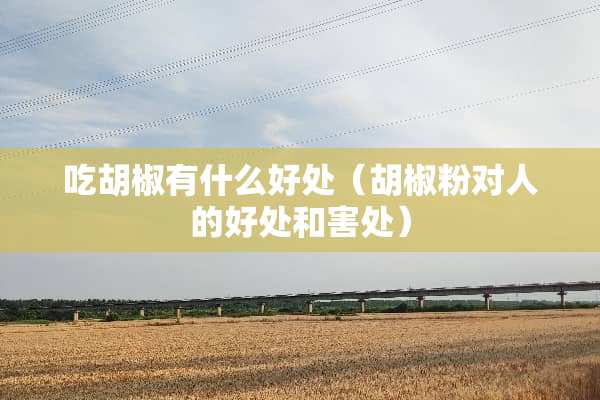吃胡椒有什么好处（胡椒粉对人的好处和害处）
