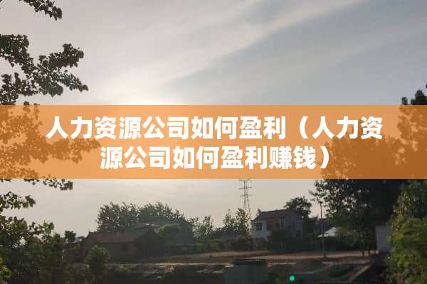 人力资源公司如何盈利（人力资源公司如何盈利赚钱）