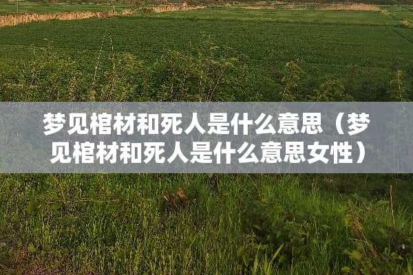 梦见棺材和死人是什么意思（梦见棺材和死人是什么意思女性）