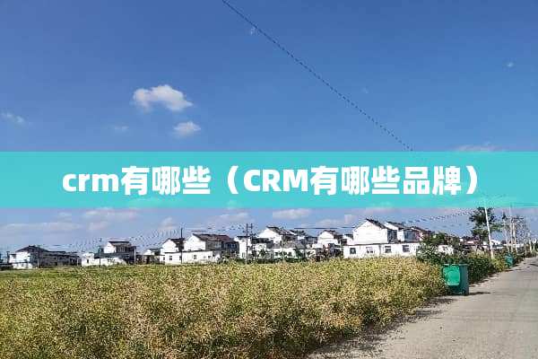 crm有哪些（CRM有哪些品牌）