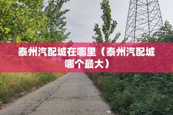 泰州汽配城在哪里（泰州汽配城哪个最大）