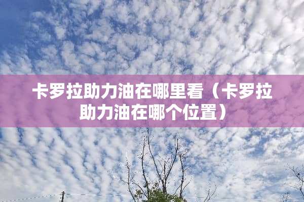 卡罗拉助力油在哪里看（卡罗拉助力油在哪个位置）