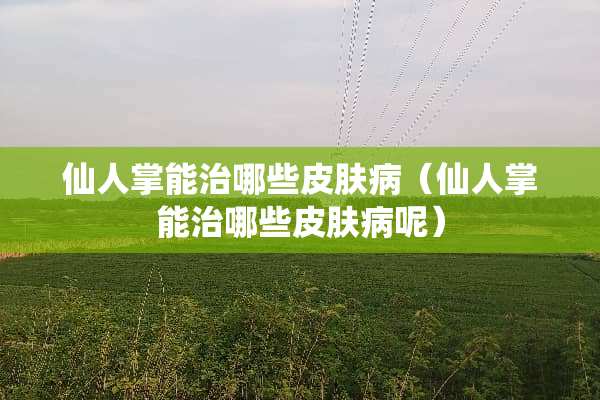 仙人掌能治哪些皮肤病（仙人掌能治哪些皮肤病呢）