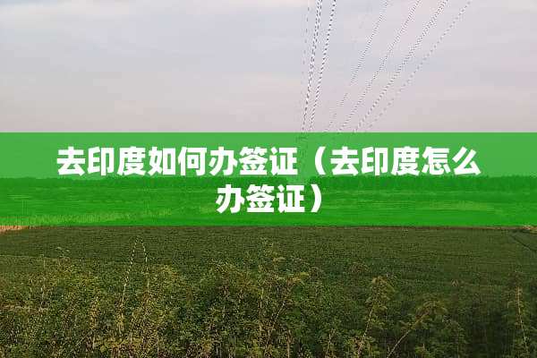 去印度如何办签证（去印度怎么办签证）