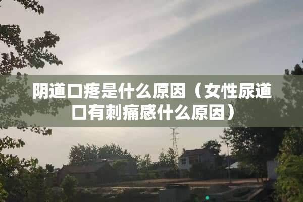 *道口疼是什么原因（女性尿道口有刺痛感什么原因）