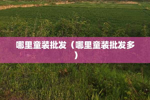 哪里童装批发（哪里童装批发多）