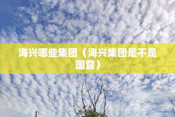 海兴哪些集团（海兴集团是不是国营）