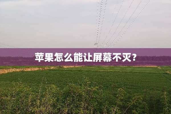 苹果怎么能让屏幕不灭？