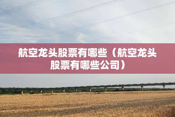 航空龙头股票有哪些（航空龙头股票有哪些公司）