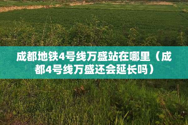 成都地铁4号线万盛站在哪里（成都4号线万盛还会延长吗）