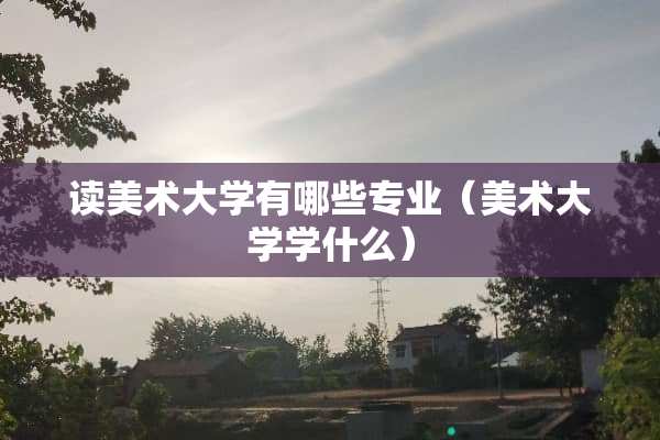 读美术大学有哪些专业（美术大学学什么）