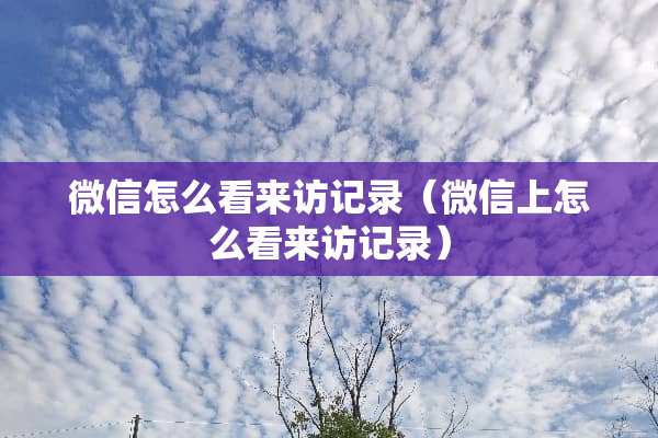 微信怎么看来访记录（微信上怎么看来访记录）