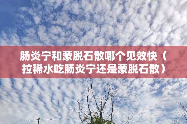 肠炎宁和蒙脱石散哪个见效快（拉稀水吃肠炎宁还是蒙脱石散）