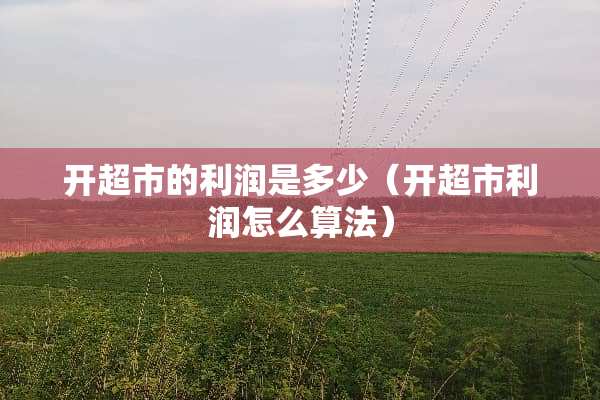 开超市的利润是多少（开超市利润怎么算法）