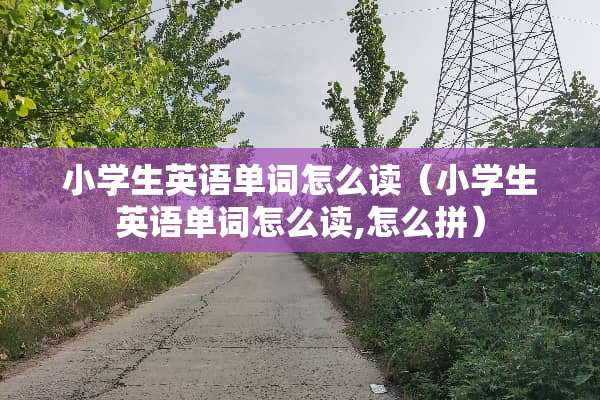 小学生英语单词怎么读（小学生英语单词怎么读,怎么拼）