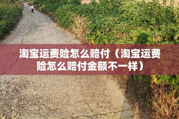 淘宝运费险怎么赔付（淘宝运费险怎么赔付金额不一样）