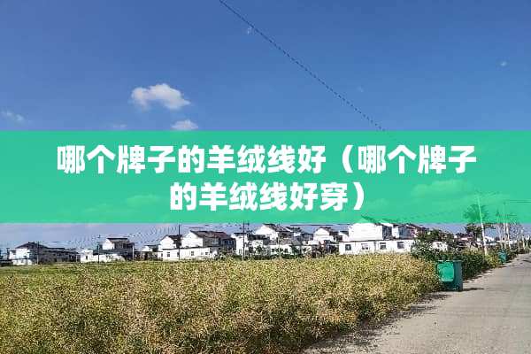哪个牌子的羊绒线好（哪个牌子的羊绒线好穿）