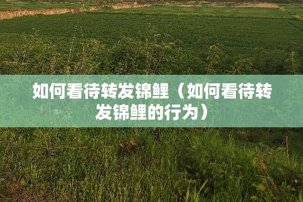 如何看待转发锦鲤（如何看待转发锦鲤的行为）