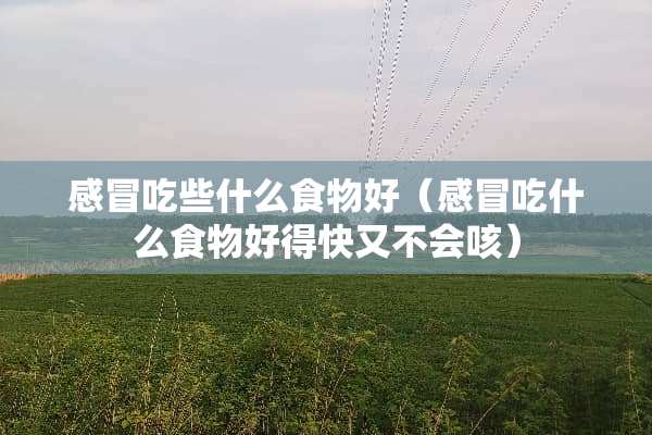 感冒吃些什么食物好（感冒吃什么食物好得快又不会咳）