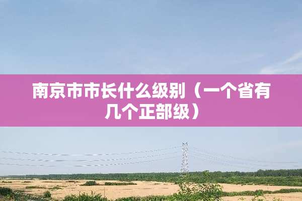 南京市市长什么级别（一个省有几个正部级）