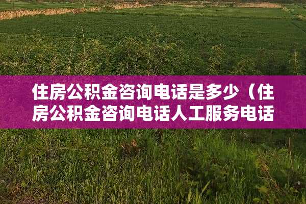 住房公积金咨询电话是多少（住房公积金咨询电话人工服务电话）