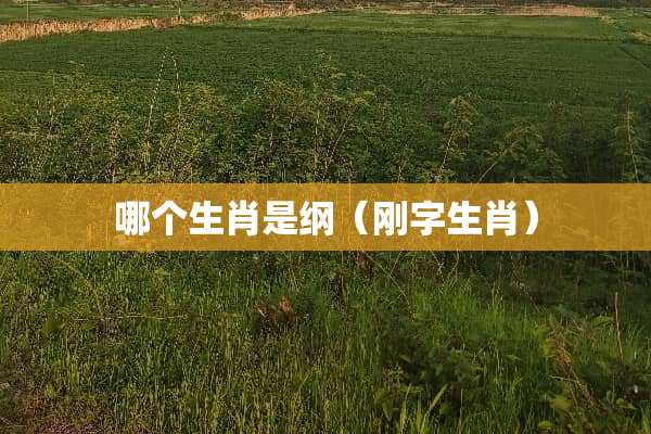 哪个生肖是纲（刚字生肖）