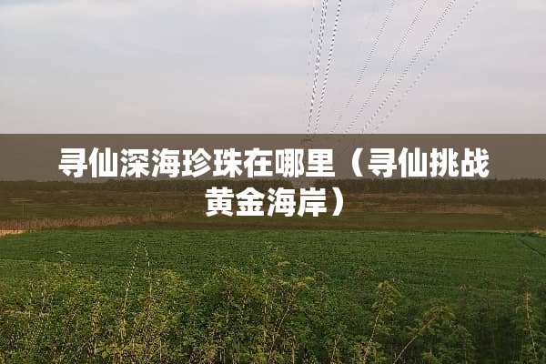 寻仙深海珍珠在哪里（寻仙挑战黄金海岸）