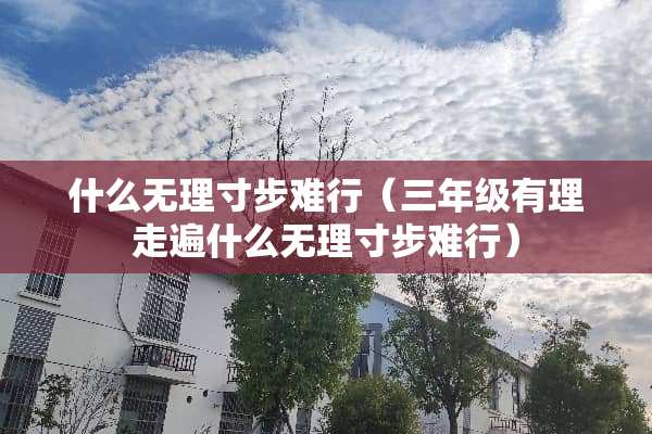 什么无理寸步难行（三年级有理走遍什么无理寸步难行）