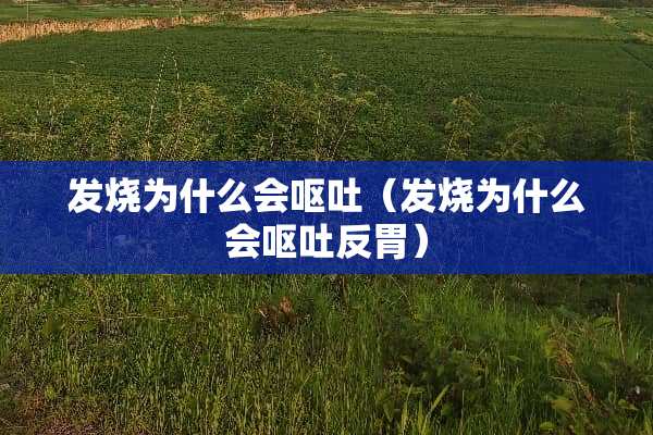 发烧为什么会呕吐（发烧为什么会呕吐反胃）