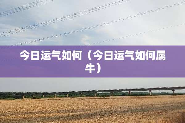 今日运气如何（今日运气如何属牛）