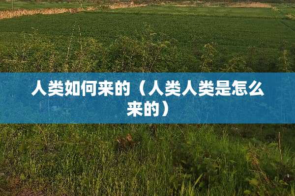 人类如何来的（人类人类是怎么来的）