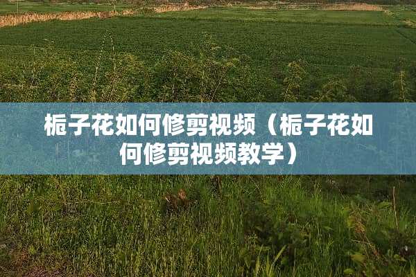 栀子花如何修剪视频（栀子花如何修剪视频教学）