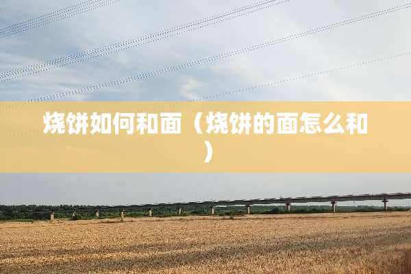 烧饼如何和面（烧饼的面怎么和）