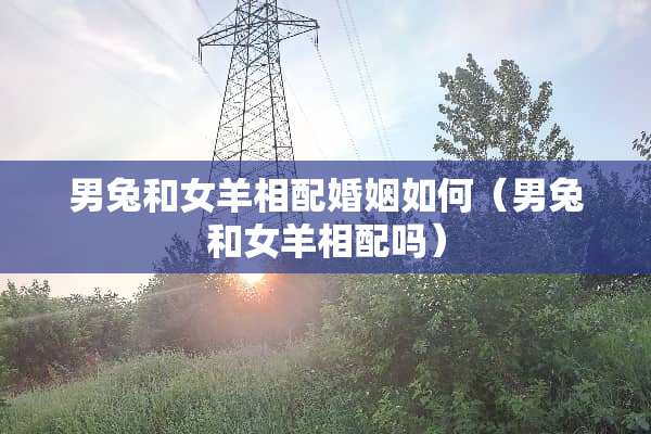 男兔和女羊相配婚姻如何（男兔和女羊相配吗）