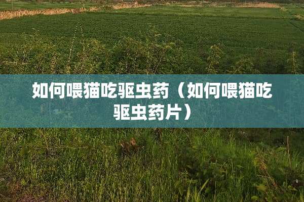 如何喂猫吃驱虫药（如何喂猫吃驱虫药片）