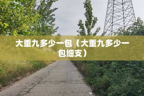 大重九多少一包（大重九多少一包细支）