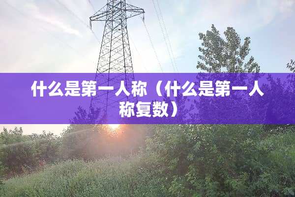 什么是第一人称（什么是第一人称复数）