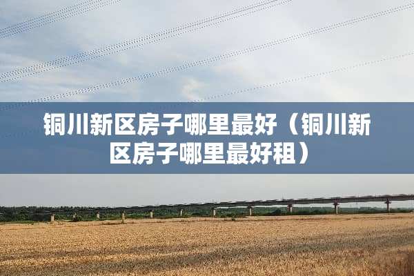 铜川新区房子哪里最好（铜川新区房子哪里最好租）