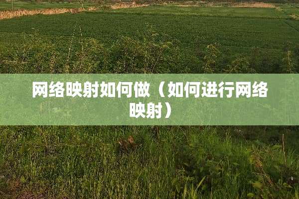 网络映射如何做（如何进行网络映射）
