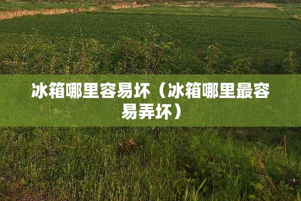 冰箱哪里容易坏（冰箱哪里最容易弄坏）