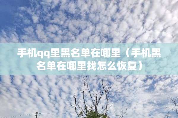 手机qq里黑名单在哪里（手机黑名单在***怎么恢复）