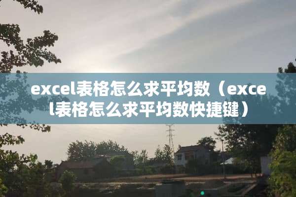 excel表格怎么求平均数（excel表格怎么求平均数快捷键）