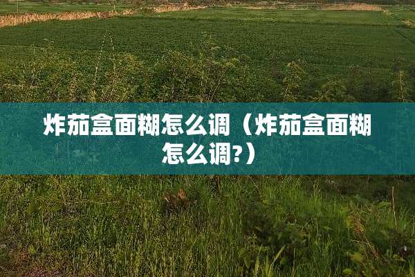 炸茄盒面糊怎么调（炸茄盒面糊怎么调?）