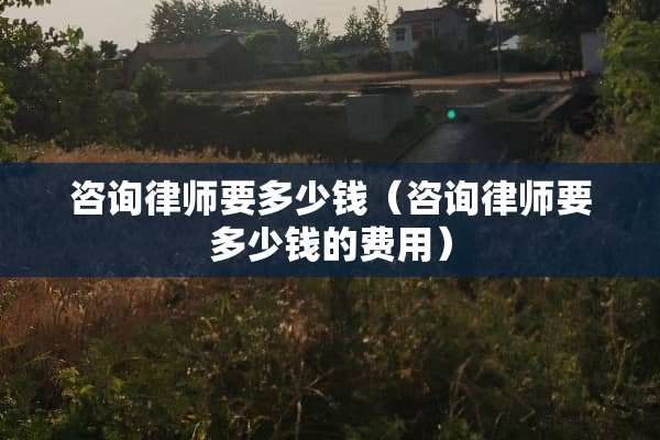 咨询律师要多少钱（咨询律师要多少钱的费用）