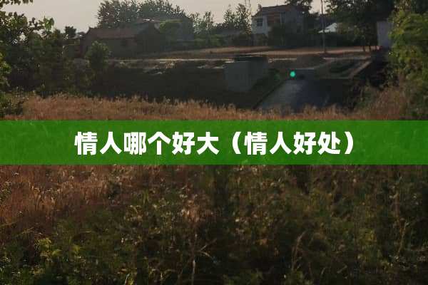 **哪个好大（**好处）