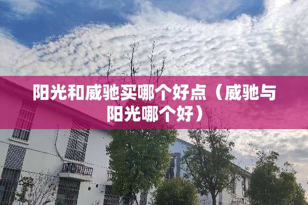阳光和威驰买哪个好点（威驰与阳光哪个好）