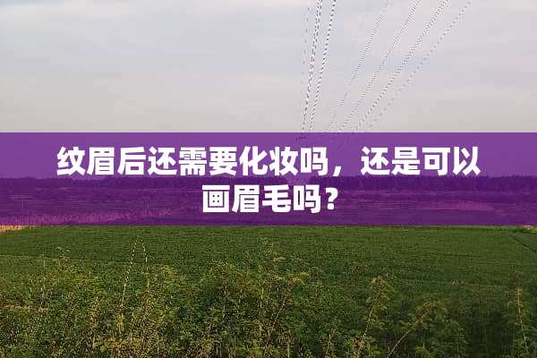 纹眉后还需要化妆吗，还是可以画眉毛吗？